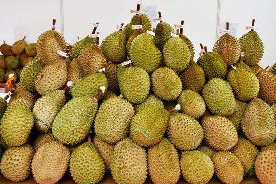 榴蓮進口報關代理服務案例，泰國馬來西亞榴蓮如何清關?