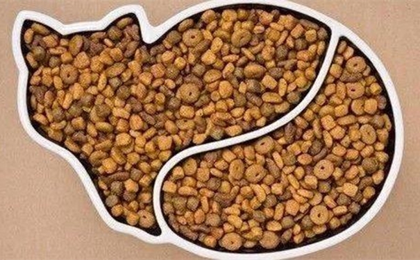 【進口貓糧清關代理】的流程，貓糧進口這樣做