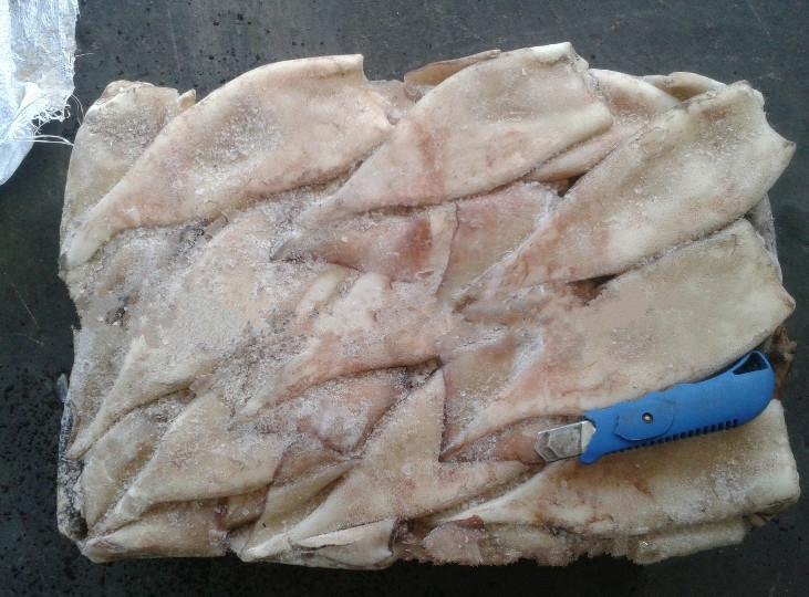 冷凍魷魚進口清關(guān)