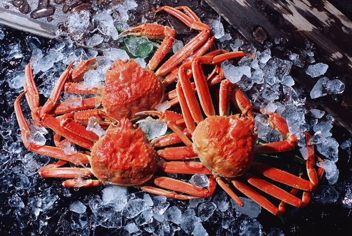 廣州機場進(jìn)口斯里蘭卡螃蟹報關(guān)費用